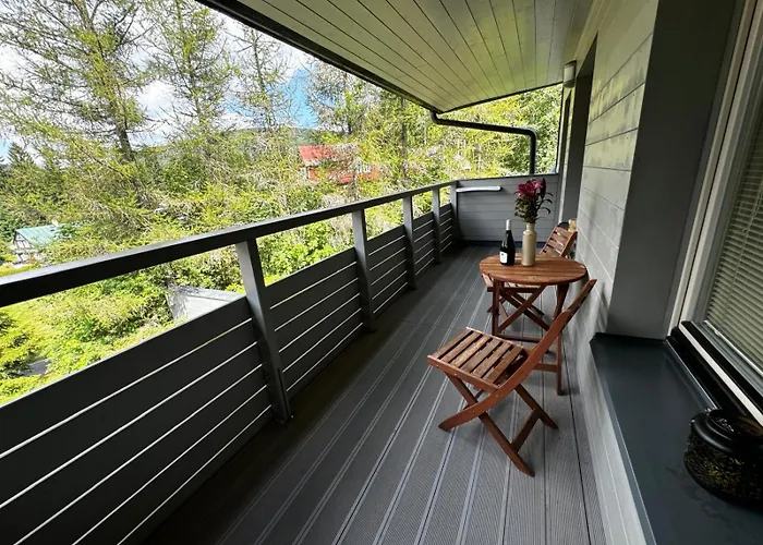 Mountain Resident - Relax S Wellness, Terasou A Soukromou Garazi Lejlighed Harrachov